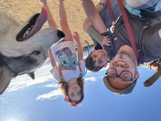 Family 3